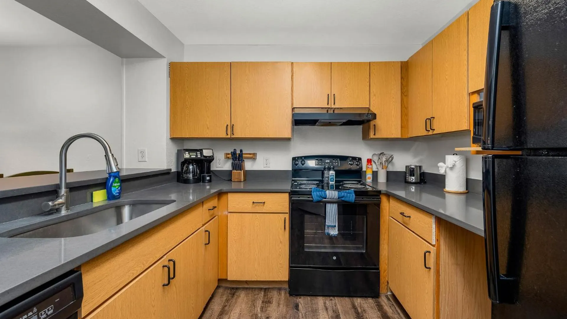 2 Mi To Usf Pet Friendly & Budget Friendly Tampa