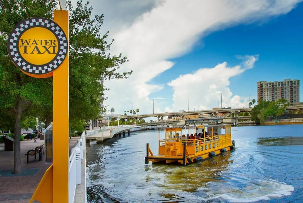 2 Mi To Usf Pet Friendly & Budget Friendly Tampa 0*,