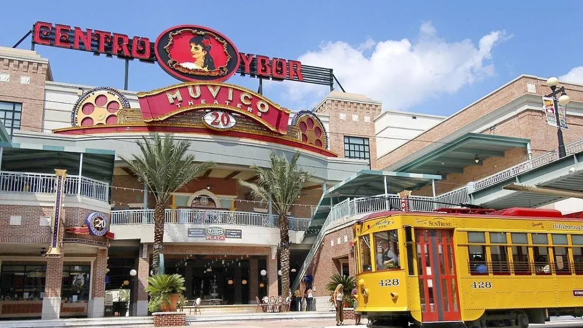 2 Mi To Usf Pet Friendly & Budget Friendly Tampa 0*,  USA