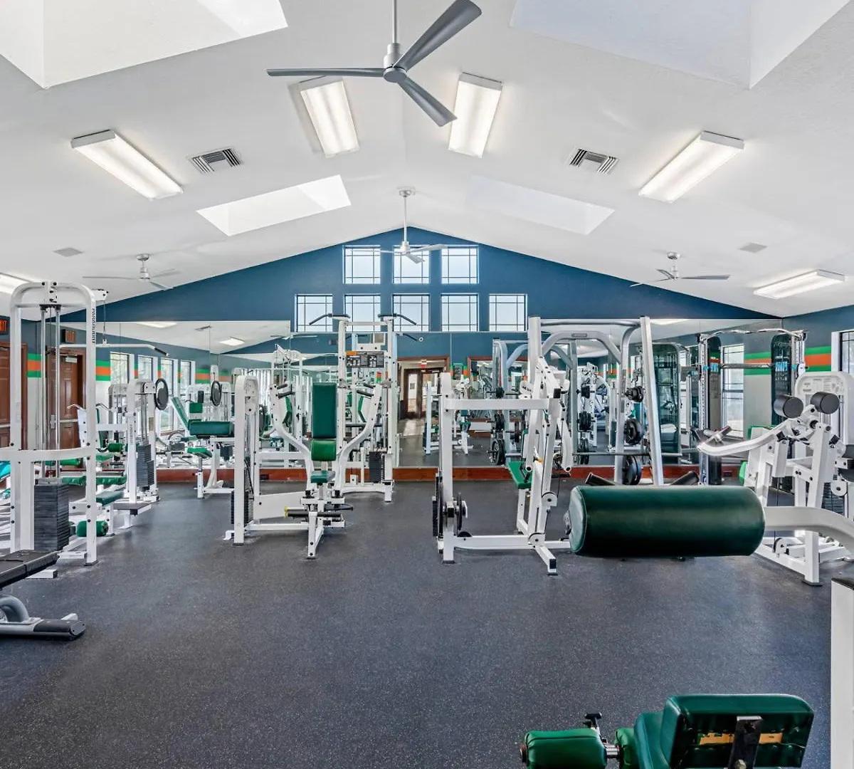 2 Mi To Usf Pet Friendly & Budget Friendly Tampa USA