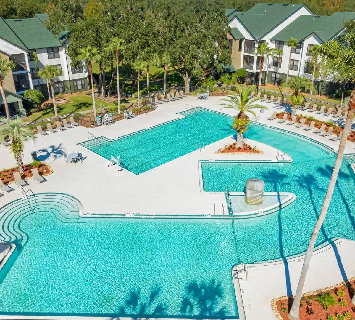 2 Mi To Usf Pet Friendly & Budget Friendly Tampa