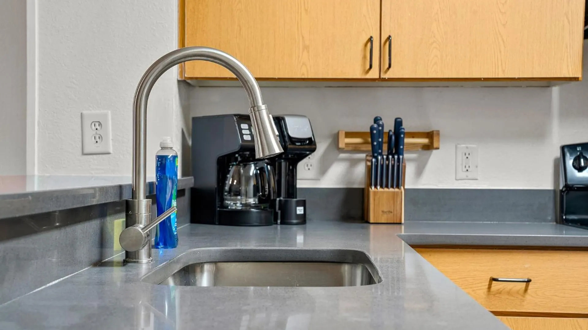 2 Mi To Usf Pet Friendly & Budget Friendly Tampa USA