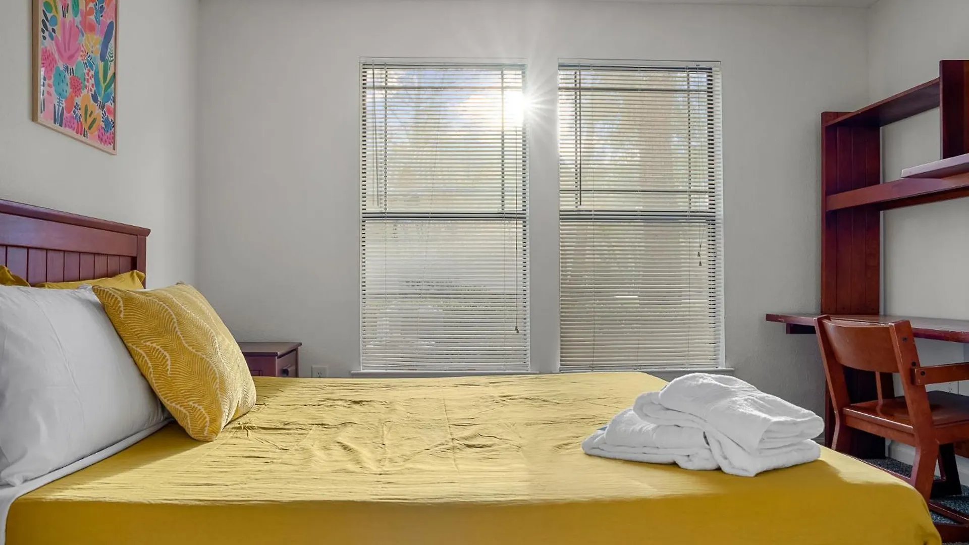 2 Mi To Usf Pet Friendly & Budget Friendly Tampa Apartmán