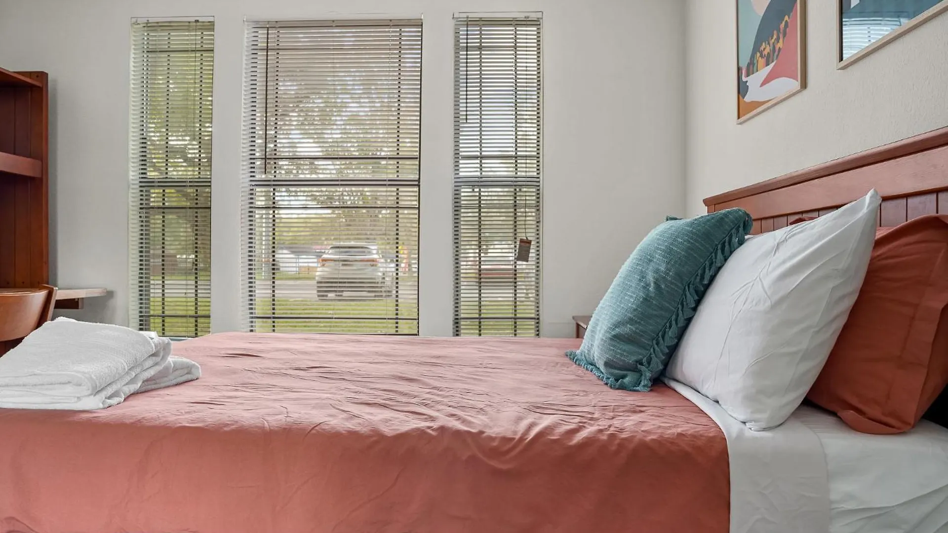2 Mi To Usf Pet Friendly & Budget Friendly Tampa 0*,  USA