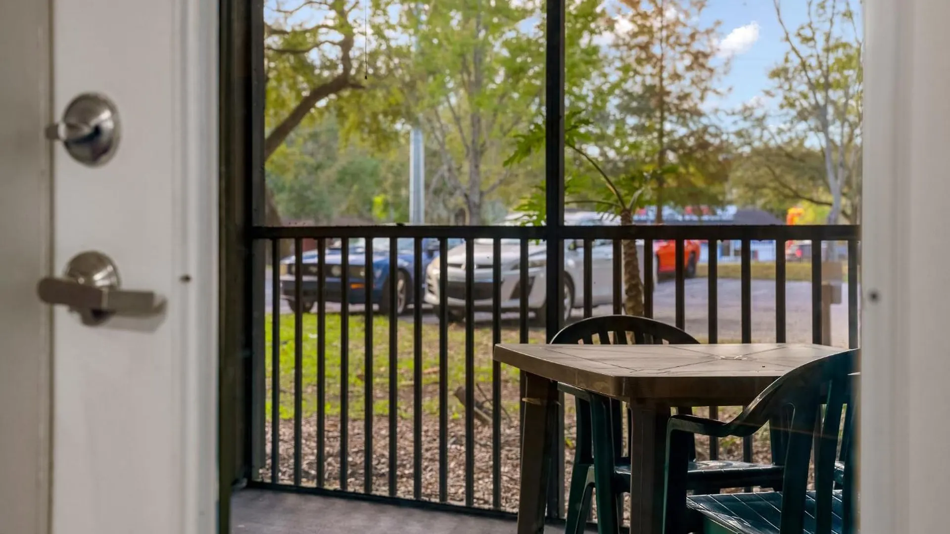 2 Mi To Usf Pet Friendly & Budget Friendly Tampa Apartmán