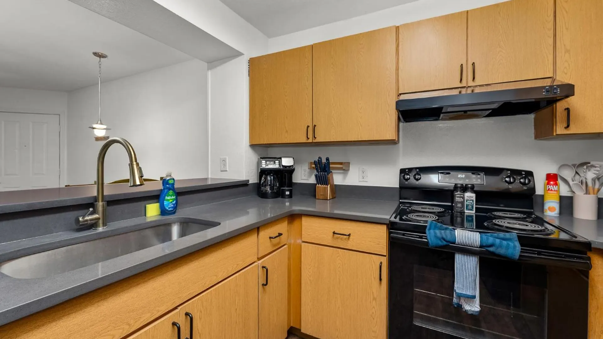 Apartmán 2 Mi To Usf Pet Friendly & Budget Friendly Tampa